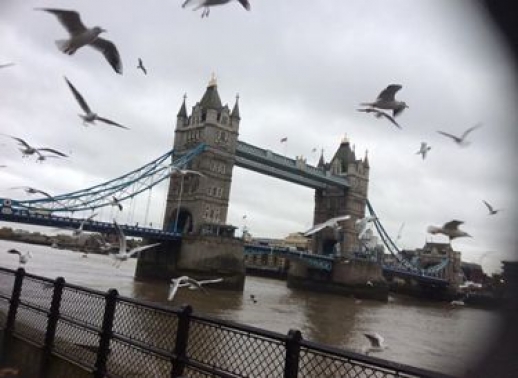 Tower bridge z lega; foto: Adéla Koutská